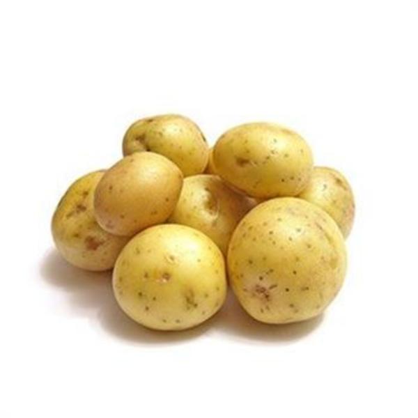 Patates Kg